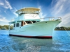 Albin Extended Flybridge Trawler