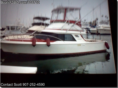 29'  1989 Blackfin Flybridge BoatsFSBOgo