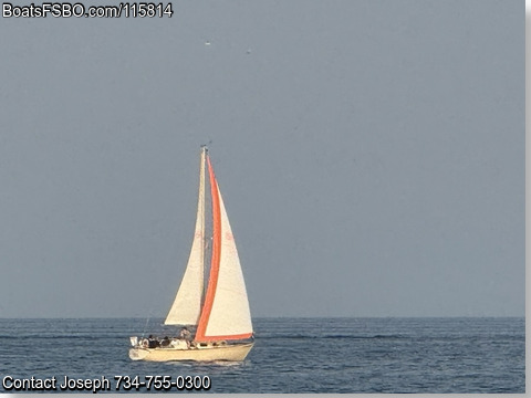 30'  1983 Catalina Tall Rig BoatsFSBOgo