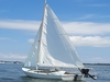 Daysailer Fiberglass Sag Harbor New York Daysailer Fiberglass Sag Harbor New York BoatsFSBOgo