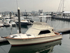 Egg Harbor Sedan Verplank New York BoatsFSBOgo