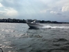 Grady White 255 SAILFISH City Island, Bronx New York Grady White 255 SAILFISH City Island, Bronx New York BoatsFSBOgo