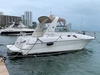 Sea Ray 310 Sundancer