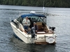Sea Ray 260 Express Bellingham Washington BoatsFSBOgo