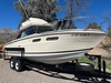 Sea Ray Flybridge
