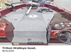 Triton Walleye Evansville Wisconsin BoatsFSBOgo