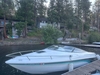 Wellcraft 210 S Eclipse Post Falls Idaho BoatsFSBOgo